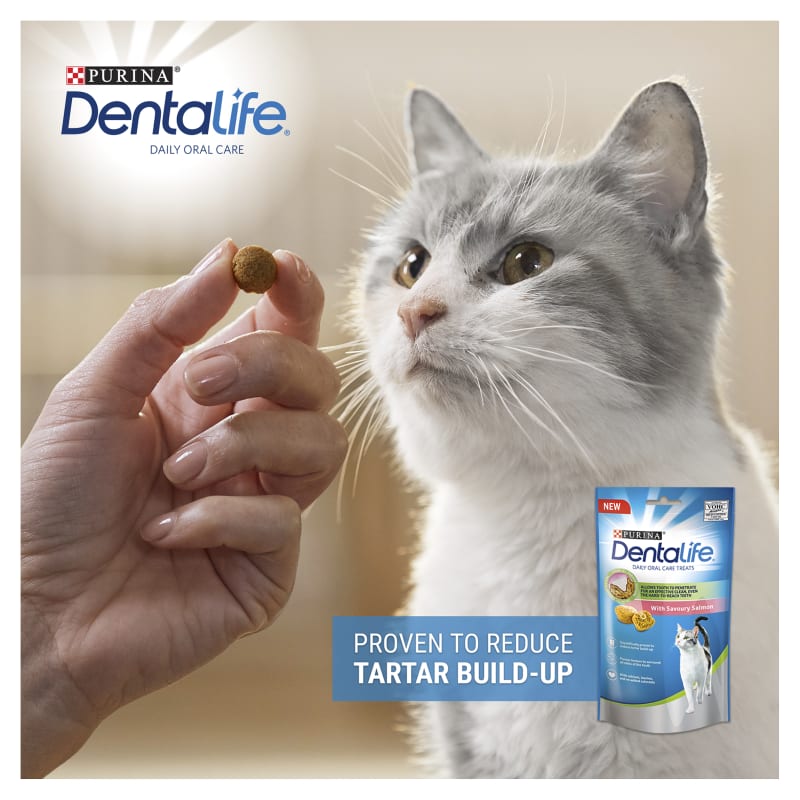 Purina dentalife hot sale cats
