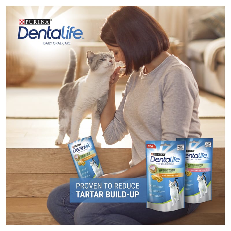 Cat dental treats top