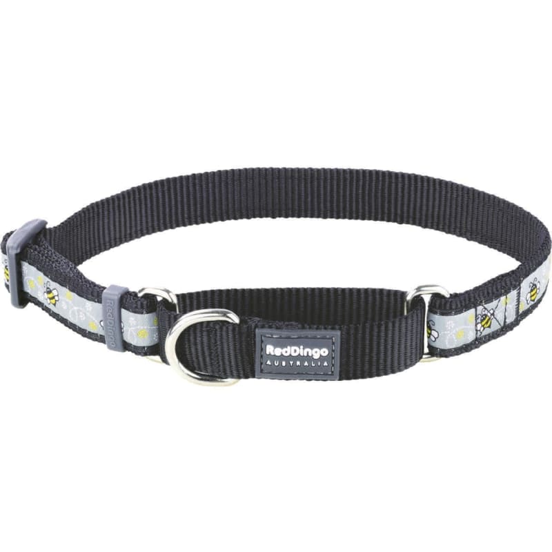 Martingale dog online collar near me