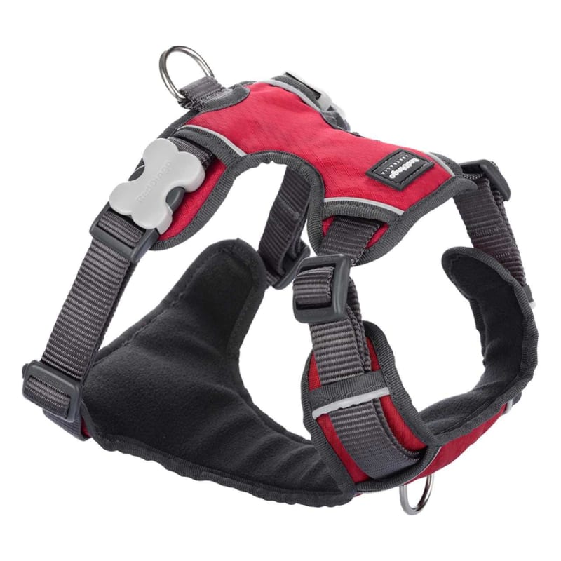 Red Dingo Padded Dog Harness Red Pet Supermarket