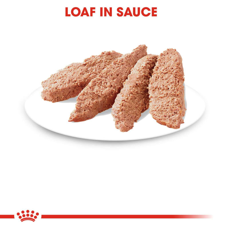 Royal Canin Instinctive Loaf Adult Pet Supermarket