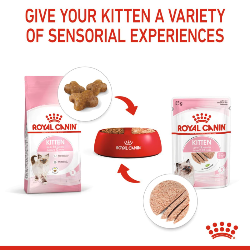 Royal store canin loaf