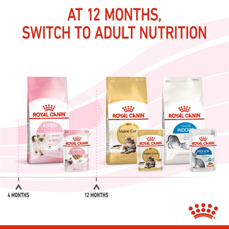 Royal canin shop kitten loaf