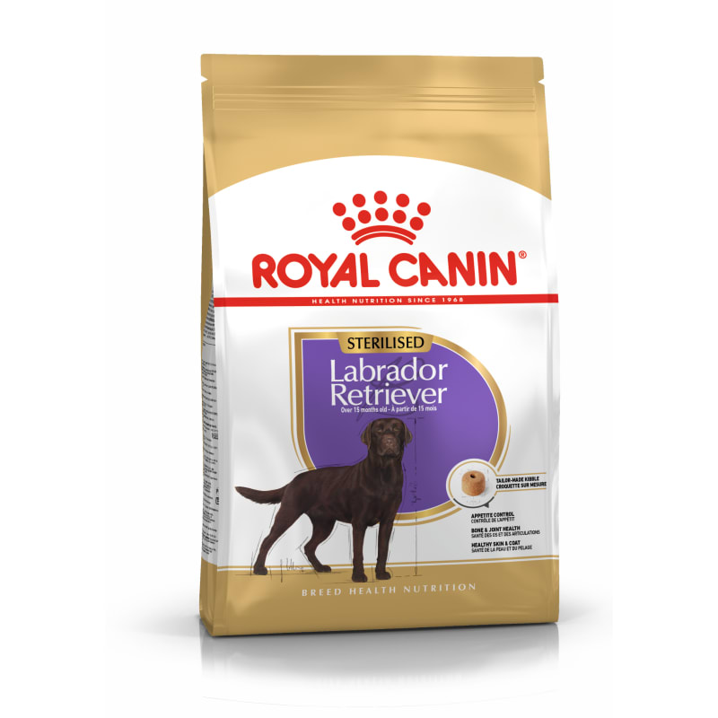 Royal canin breed health nutrition labrador retriever adult dry dog food top