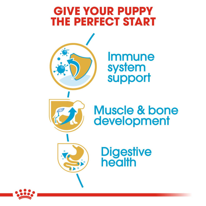 Royal Canin Breed Health Nutrition Pet Supermarket