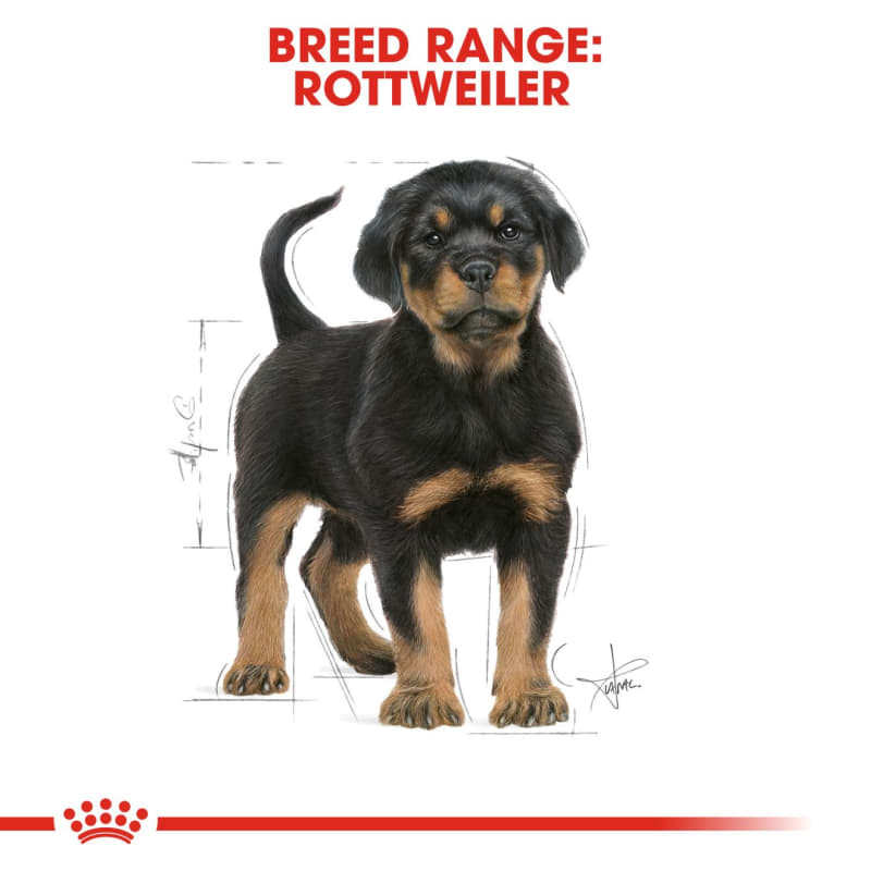 Royal canin 2025 rottweiler junior 12kg