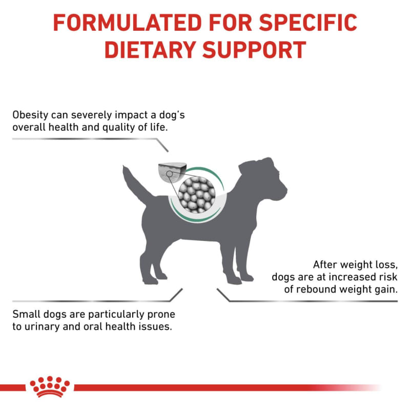 Royal Canin Satiety Weight Pet Supermarket
