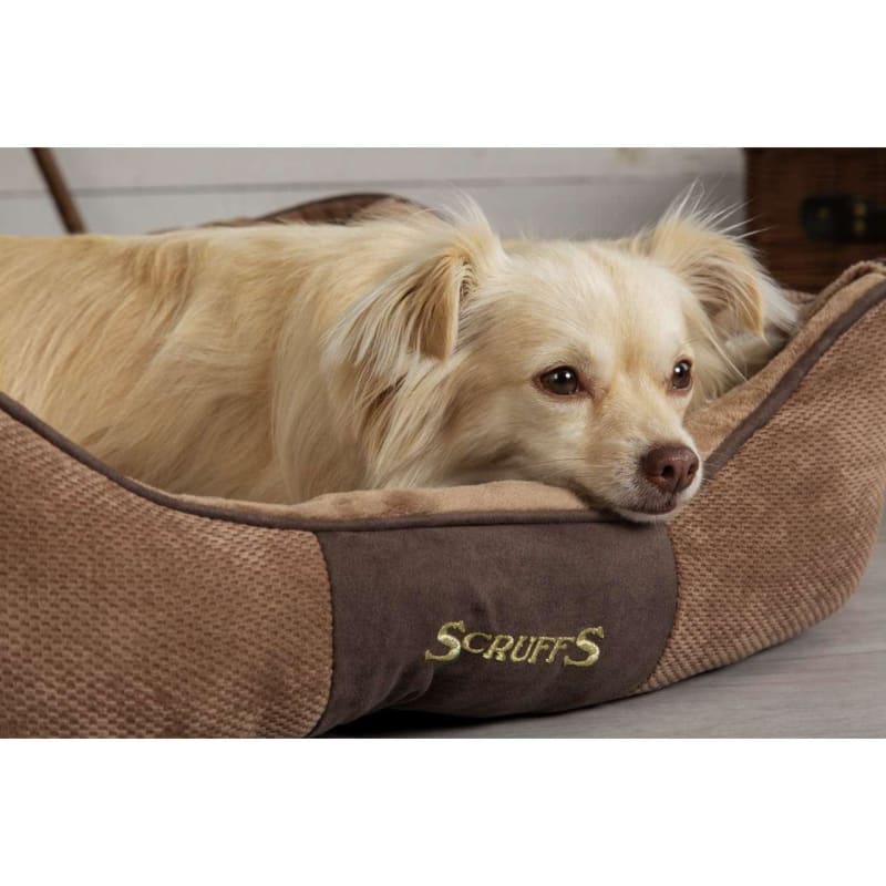 Scruffs chester on sale box