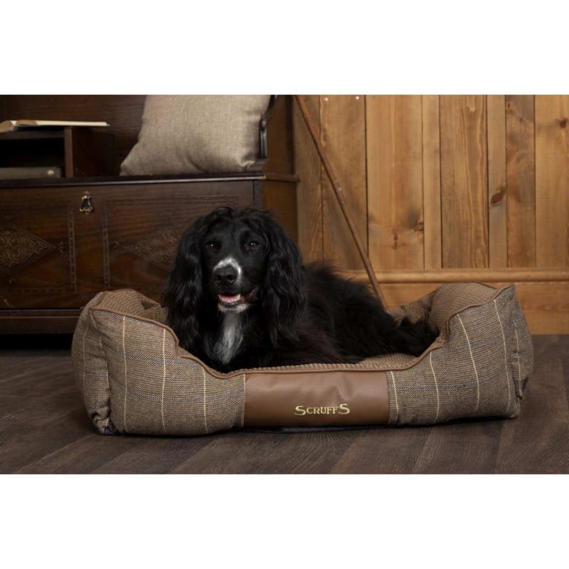 Scruffs windsor box dog bed clearance