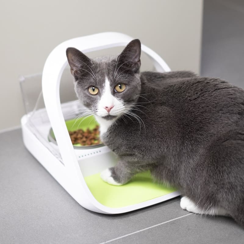 SureFeed Microchip Pet Feeder Pet Supermarket