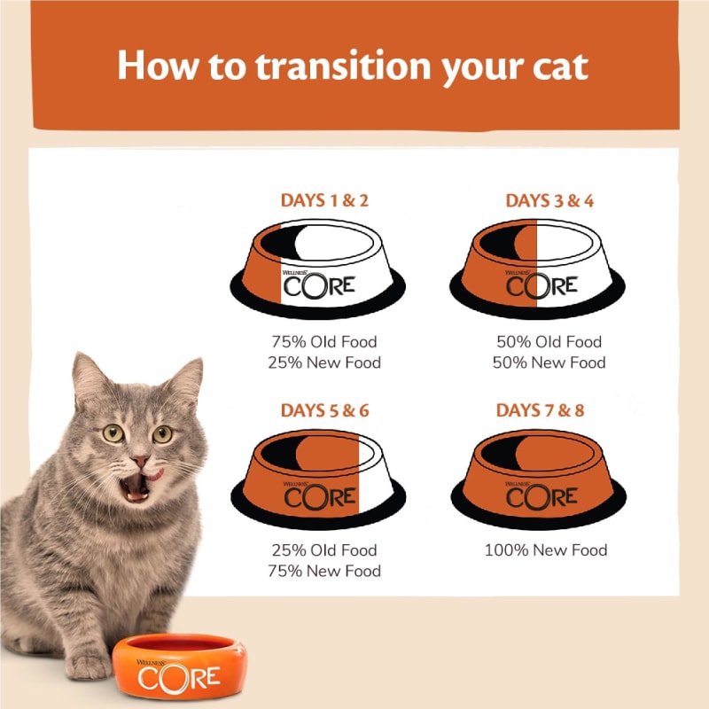Best supermarket dry cat food store