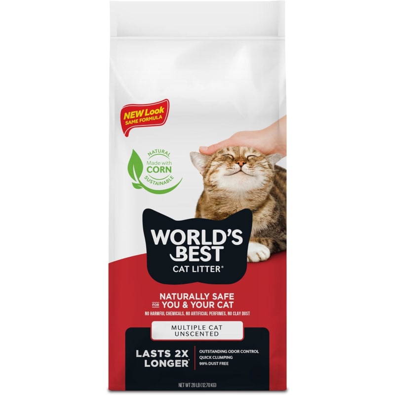 Best cat food for smelly poop uk outlet
