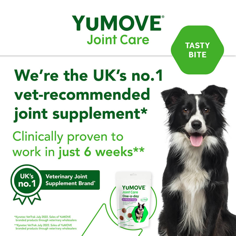 Vet uk joint supplement sales