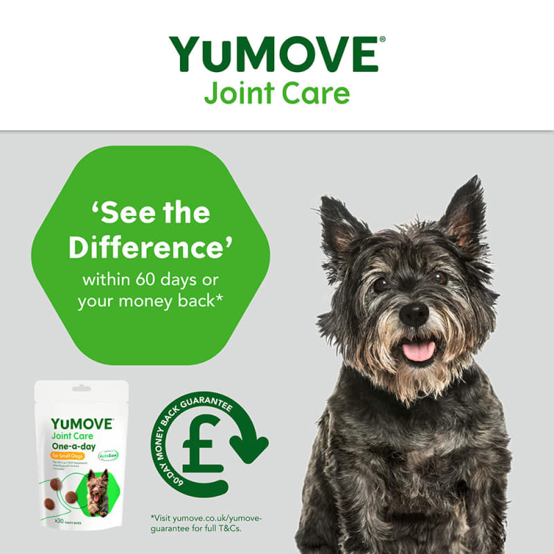 YuMOVE Joint Care One a day Pet Supermarket
