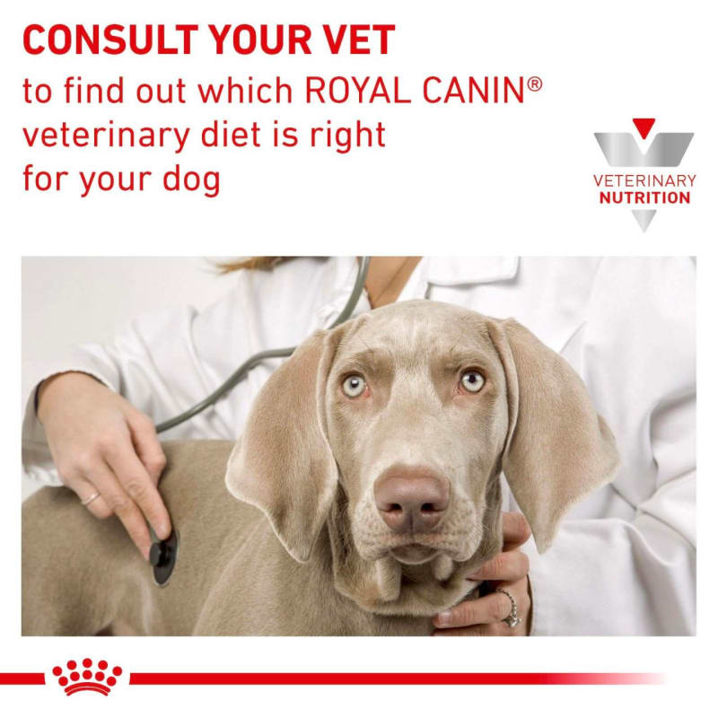 Royal canin renal support d 2025 dog food