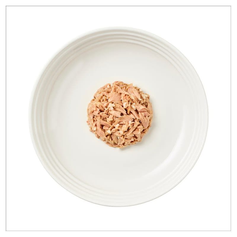 Encore cat food pets at home outlet