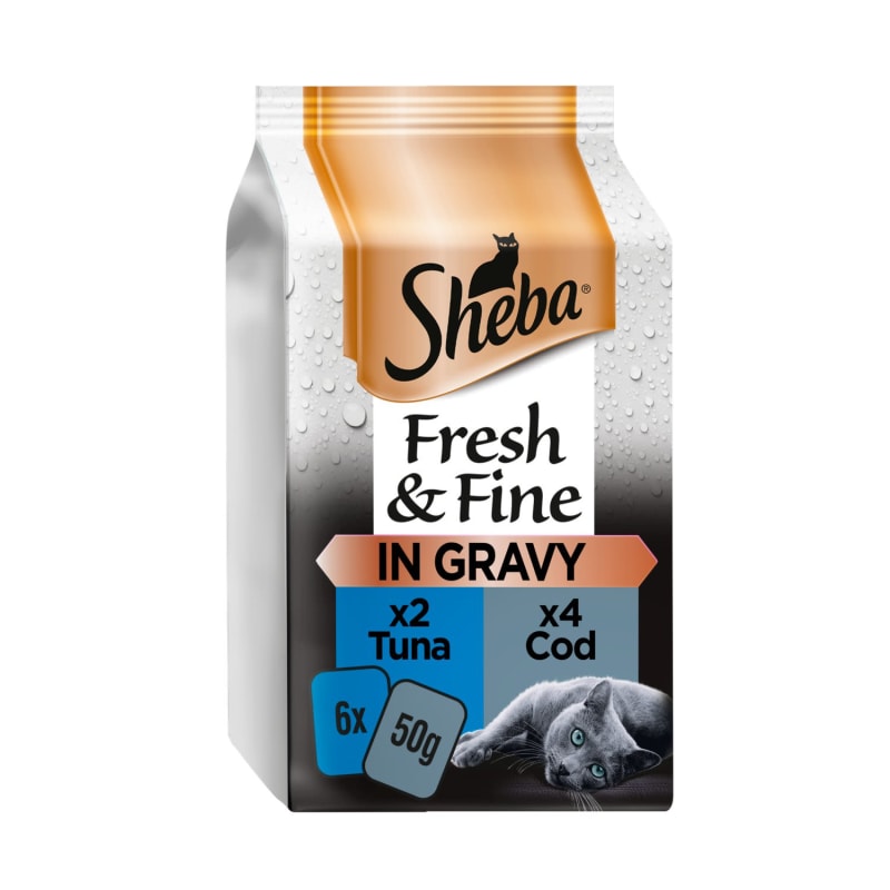 Sheba uk sales