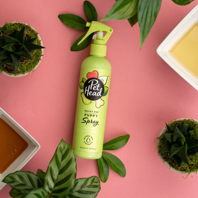 Pet Head Mucky Pup Puppy Dog Spray Pet Supermarket