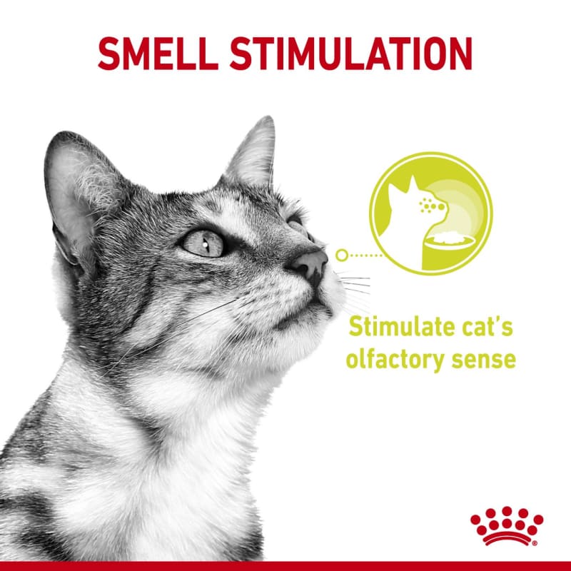Royal canin sales olfactory attraction