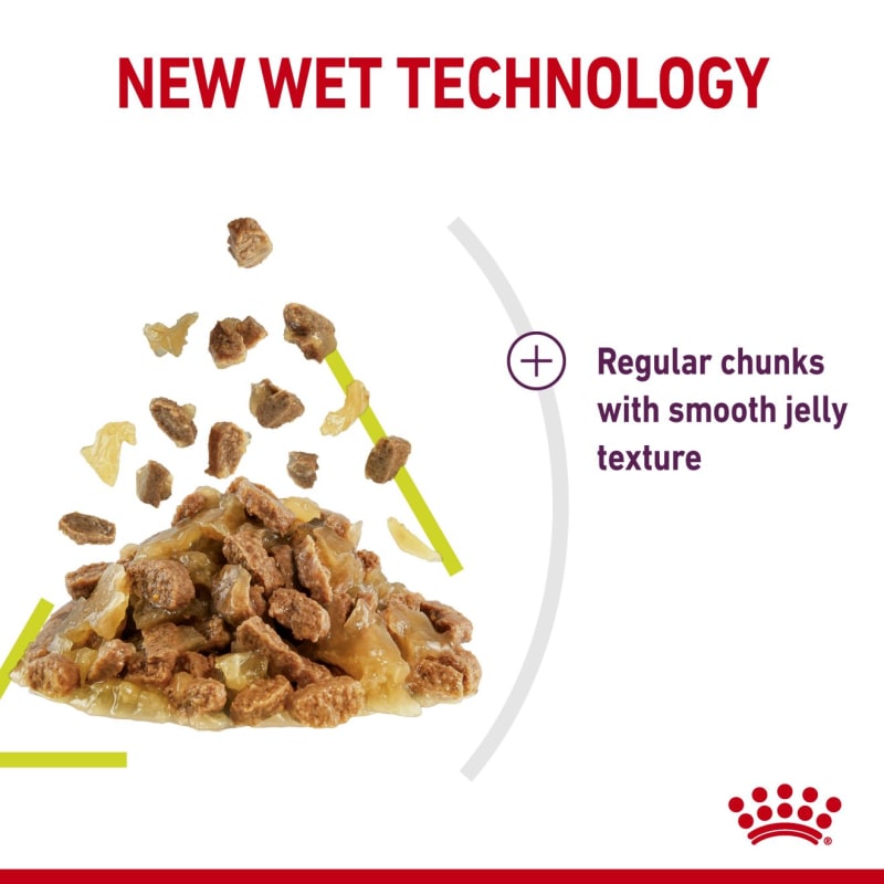 Royal canin odor control sale