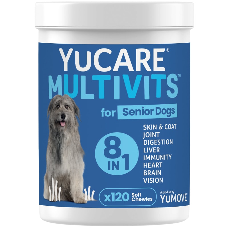 Soft senior hot sale dog food
