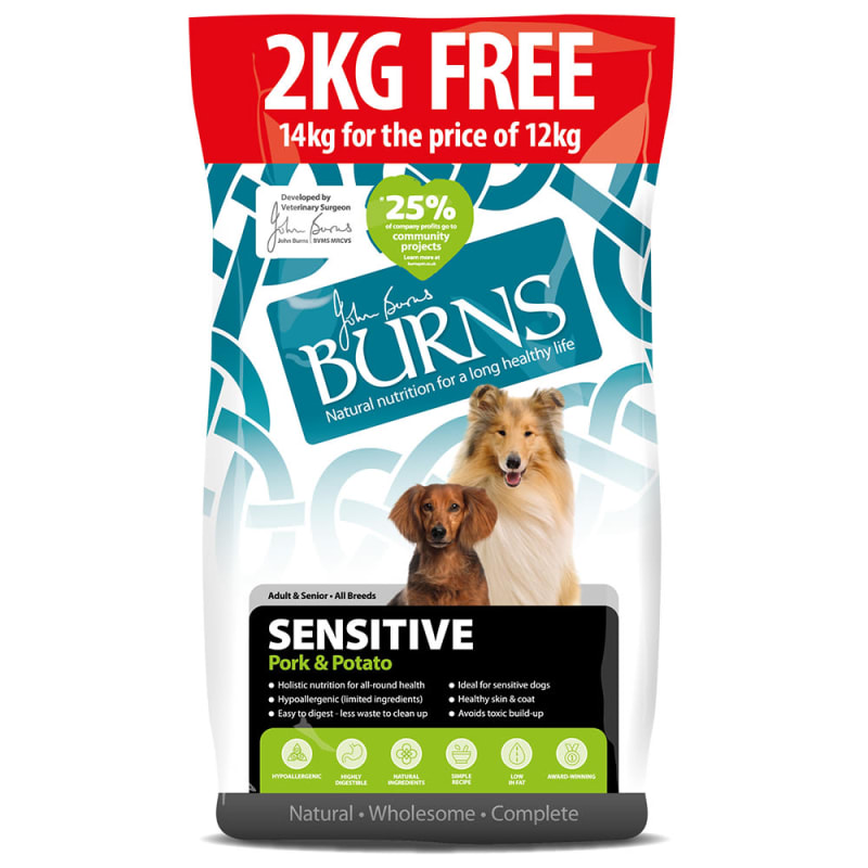 Burns salmon and potato dog food top