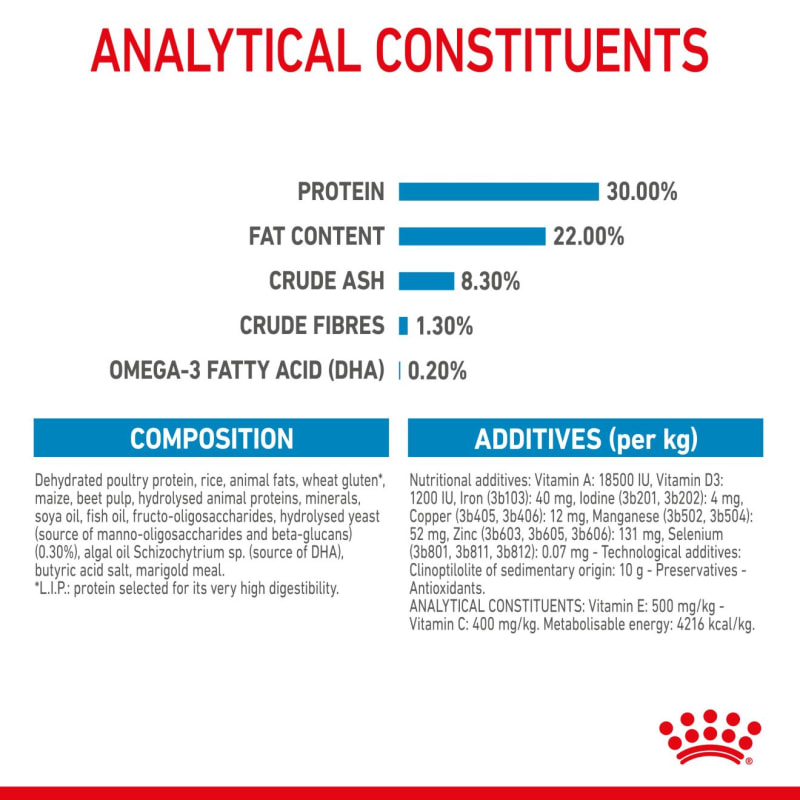 Royal canin deals starter feeding guide
