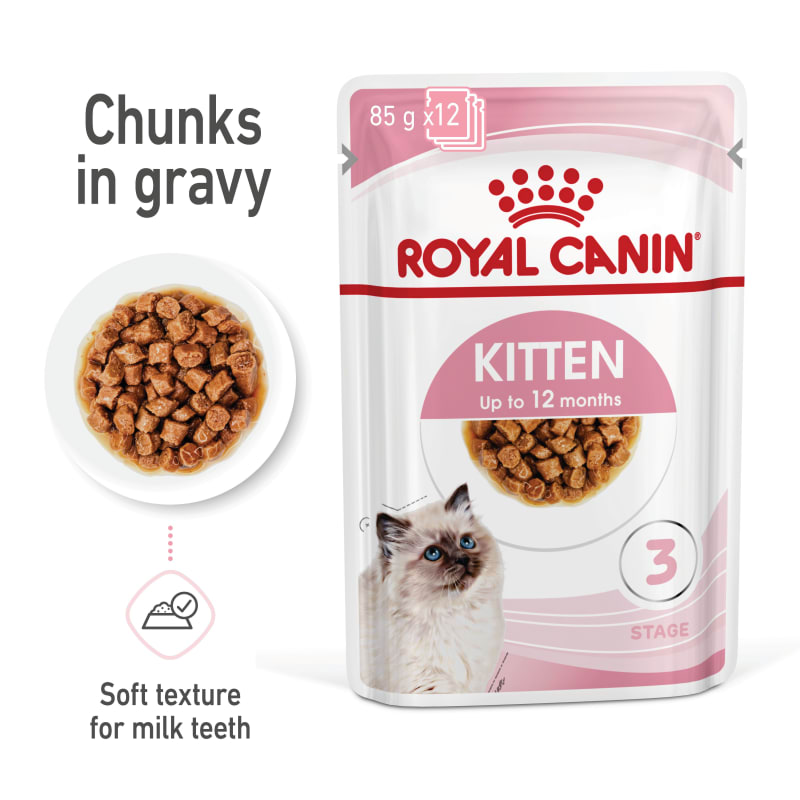 Royal Canin Kitten Wet Cat Food Pet Supermarket
