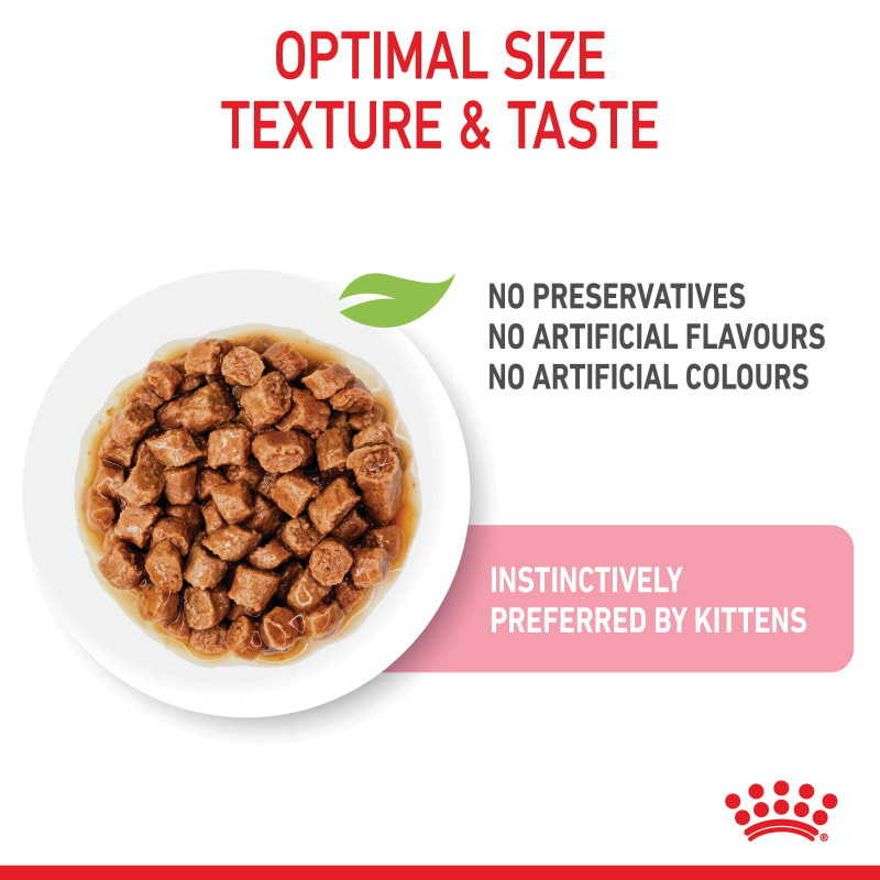 Royal canin wet outlet kitten food reviews