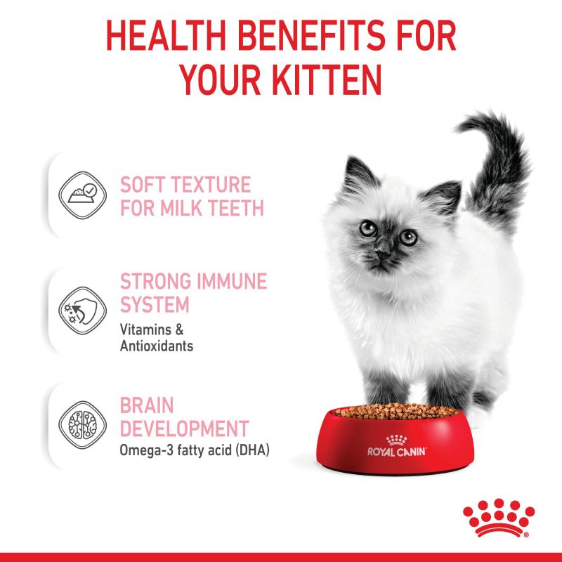 Royal canin canned top kitten food