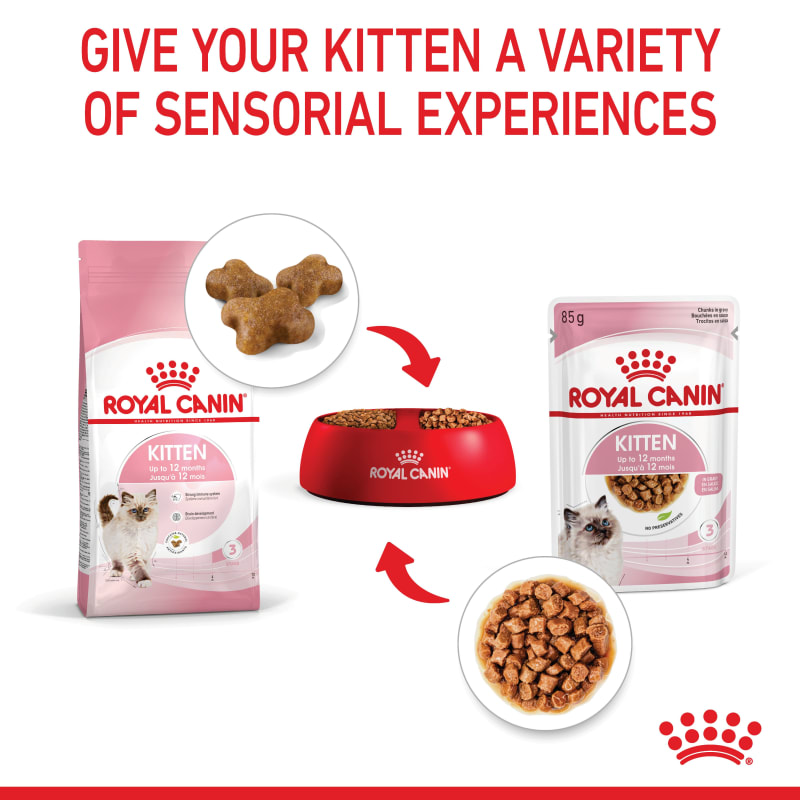 Royal canin kitten food wet clearance