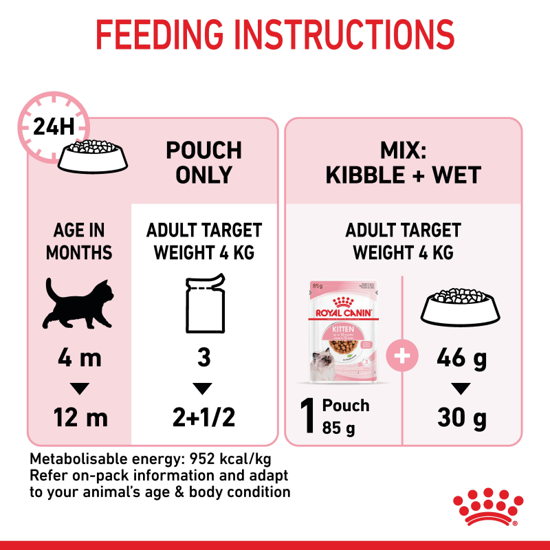 Royal Canin Kitten Wet Cat Food Pet Supermarket