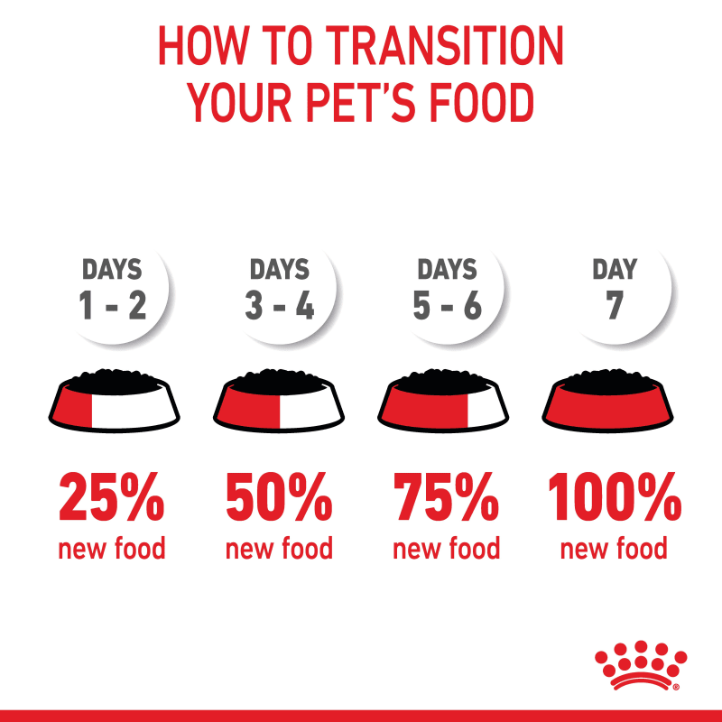 Royal canin kitten food how much deals to feed