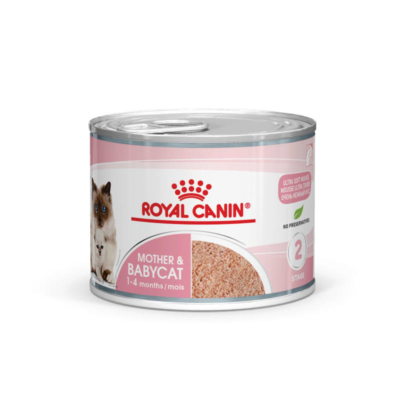 Royal canin hot sale wet cat food