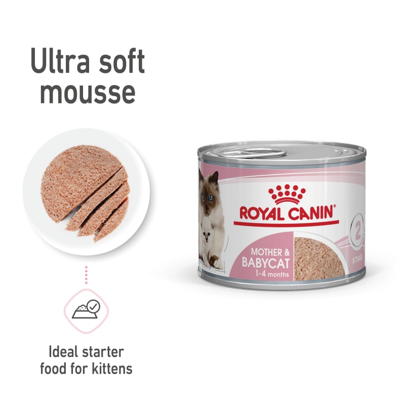 Royal canin queen cat food 2025