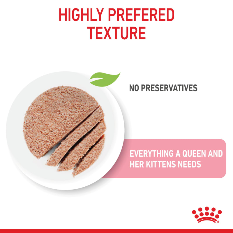 Royal canin mother baby cat mousse discount