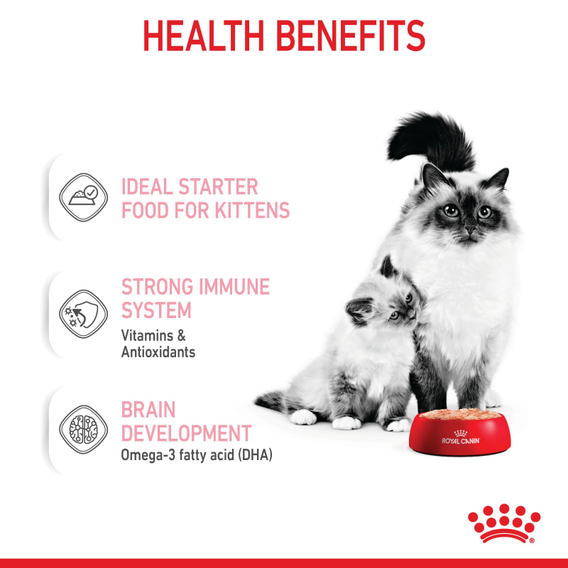 Royal canin mother and baby cat wet food clearance