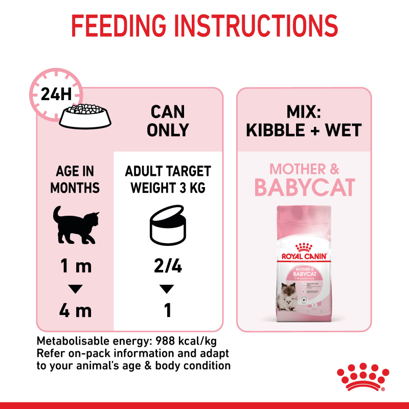 Royal canin mother and baby cat mousse sale