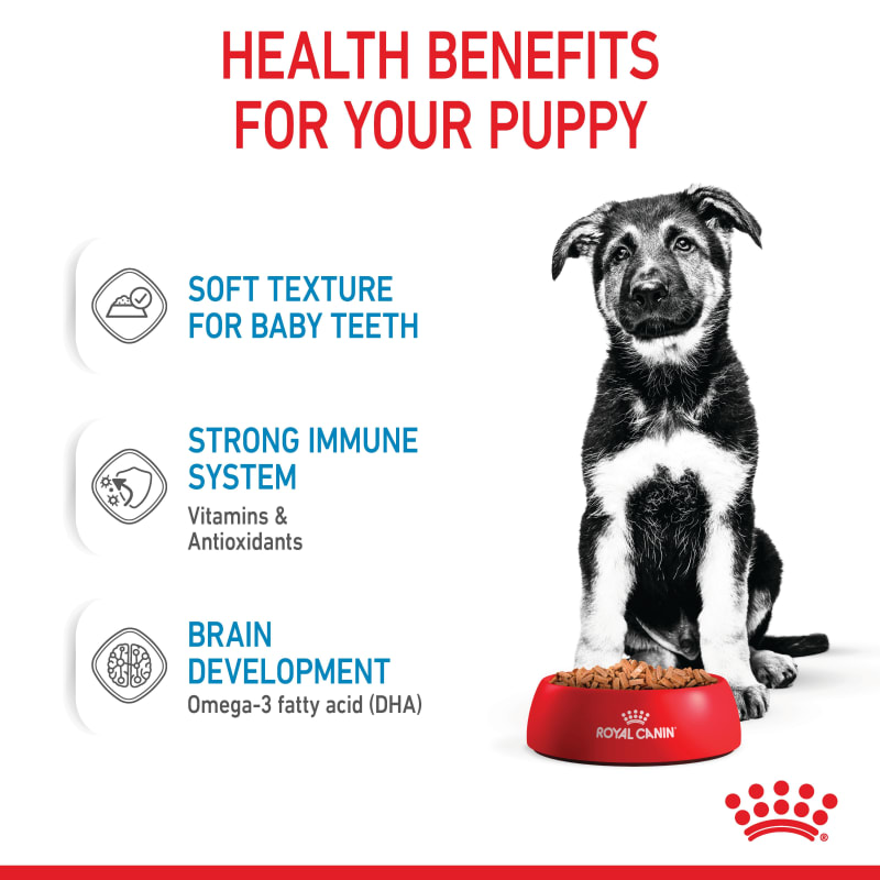 Royal canin top puppy starter pack