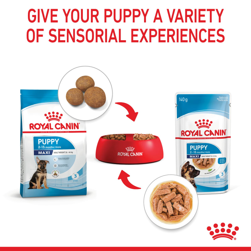 Royal Canin Maxi Puppy Wet Dog Food Chunks in Gravy 10 x 140g Chunks in Gravy