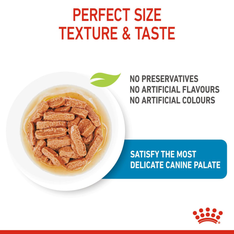 Royal canin medium sales puppy wet food