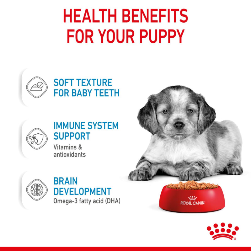 Puppy health sale