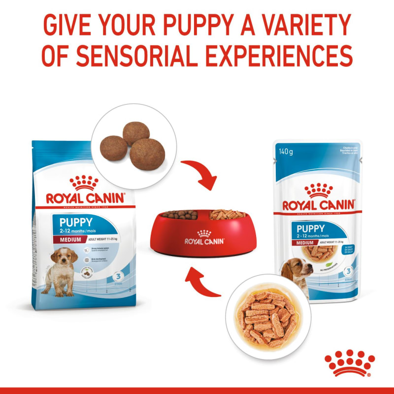 Royal Canin Size Health Nutrition Pet Supermarket