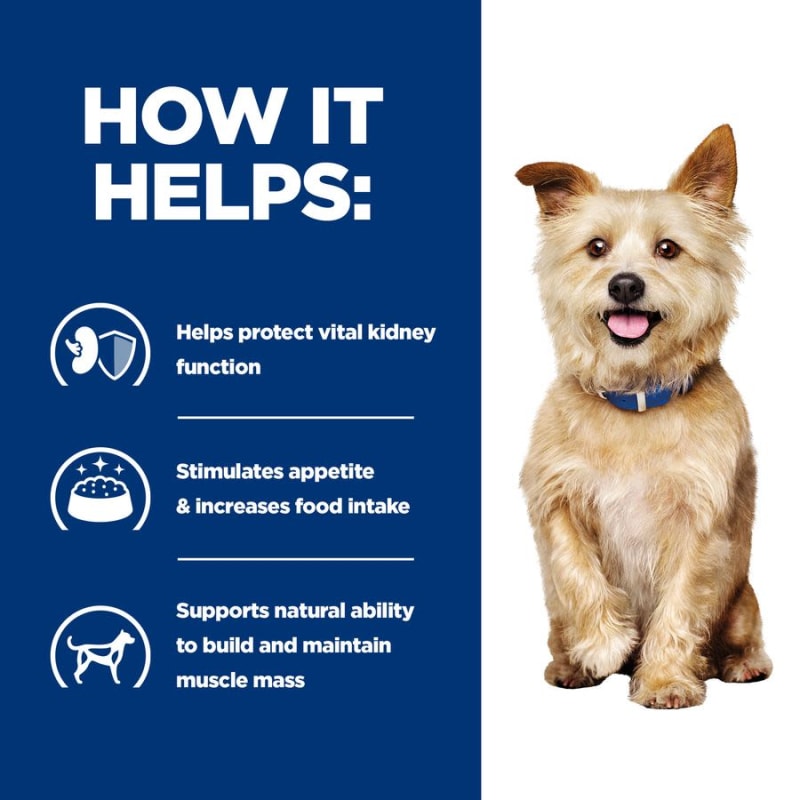 Hill's prescription diet kidney care cheap dog food