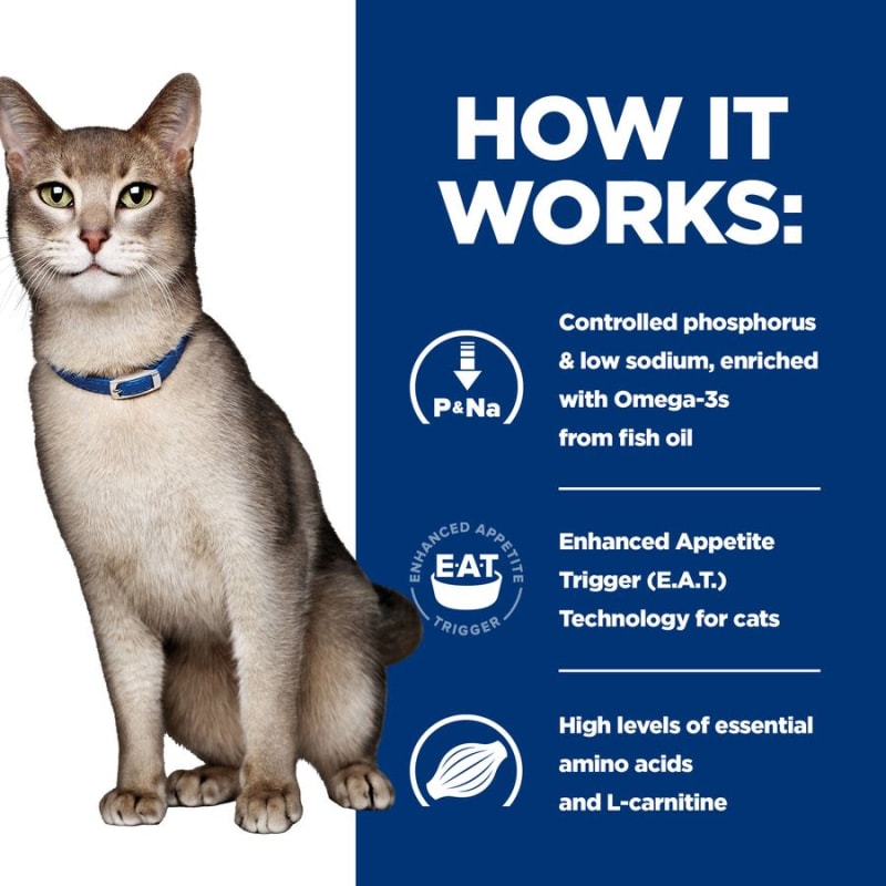 Prescription diet kidney care cat food deals