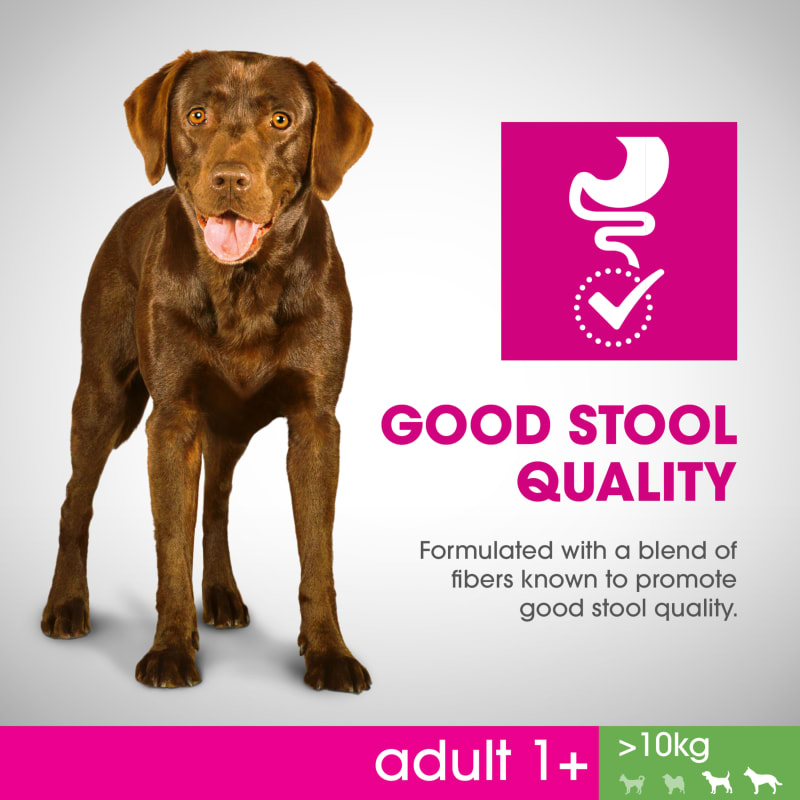 Perfect Fit Medium and Large Adult Pet Supermarket