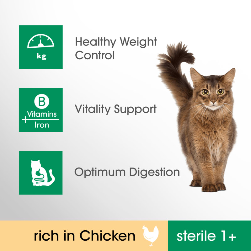 Perfect Fit Sterile 1 Adult Dry Cat Pet Supermarket