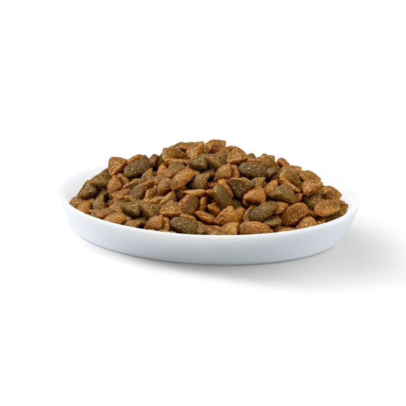 Perfect Fit Indoor 1 Adult Dry Cat Pet Supermarket