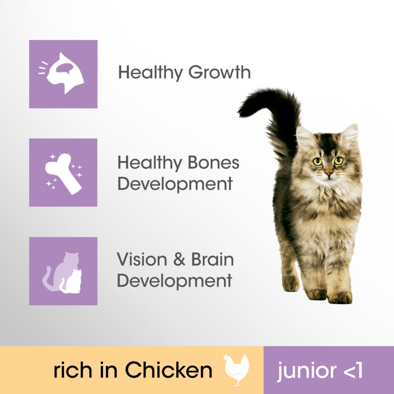 Perfect fit hot sale junior cat food