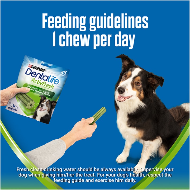 Dentalife dog chews sale